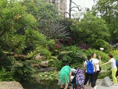 -晓港公园