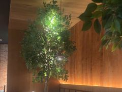 -同仁四季椰子鸡(无锡滨湖万象汇店)