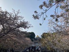 -苏州上方山国家森林公园