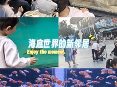 -海合安成都极地海洋公园