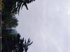 -大雁塔北广场音乐喷泉