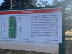 -玲珑塔公园