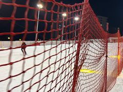 -丁香湖丁香小镇Citypark滑雪公园戏雪嘉年华