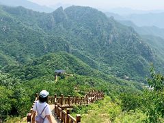 -大岭沟猕猴桃谷风景区