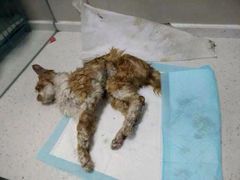 盛京一禾-盛京一禾