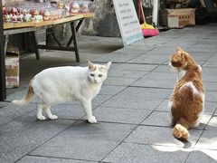 -潮镇老尾牛杂(环城西路店)