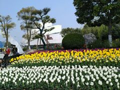 -上海鲜花港