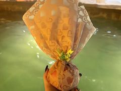 -长白山聚龙火山温泉