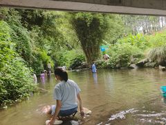 -重庆彩云湖湿地公园