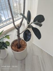 -HEYAN荷妍专业脱毛连锁机构