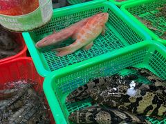 -都斛海鲜街