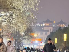-大雁塔北广场音乐喷泉