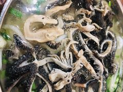 -攀枝花·任德琼·盐边羊肉米线