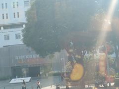 -赛格电子市场(华强北路店)