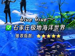 -石家庄极地海洋世界