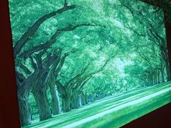 -民俗村柴火灶·景德江西菜(中国陶瓷博物馆店)