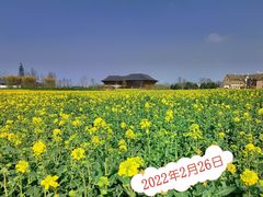 -中国天府农业博览园