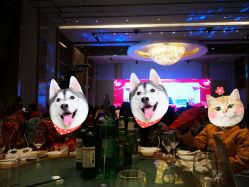 -上海浦东喜来登由由大酒店·宴会厅