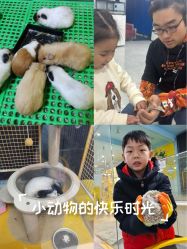 -神奇动物撸宠馆·羊驼·小浣熊·异宠(豫园店)