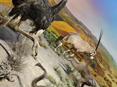 -国家自然博物馆