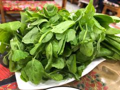 -泸沽肴(泸沽湖大洛水村农村信用社旁店)