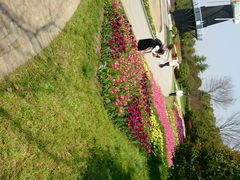 android_upload_pic-上海鲜花港