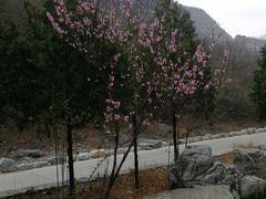 -孤山寨风景区