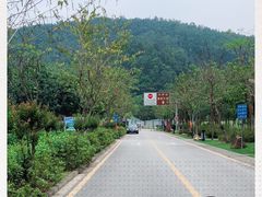 -火炉山森林公园