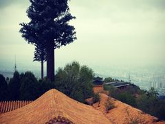 -兰山公园