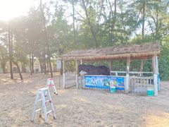 -玫瑰海岸文化旅游度假区