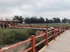 -北海金海湾红树林生态旅游区