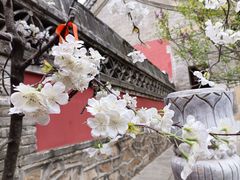 -潭柘寺景区
