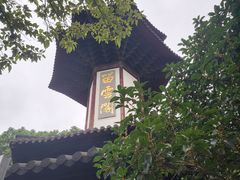 -上海佘山国家森林公园天马山园