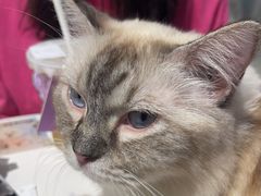 -怪兽屋·羊驼·猫咖·狗咖(俊华广场店)