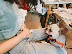 -the rug 飞毯 (朝阳公园店)