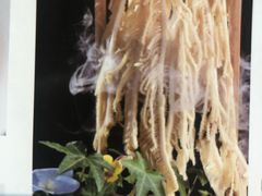 -赠李白·如诗的川味(余杭万达广场店)