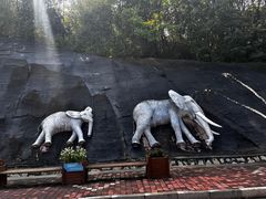 -哈尔滨北方森林动物园