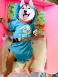 -小蓝象(五角场万达店)