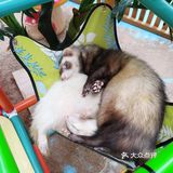 我家有女初长成