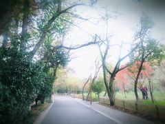 -东航云逸酒店(九溪烟树店)