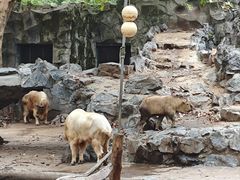 -上海动物园(地铁站)