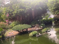 -九龙公园