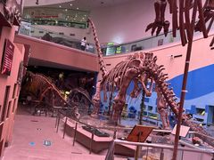 -陕西自然博物馆