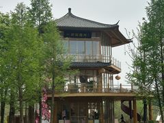 -长田漾湿地公园