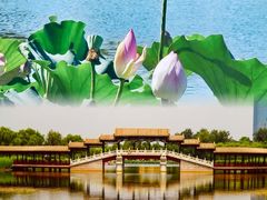 -西海子公园