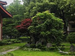-浙江省博物馆(孤山馆区)