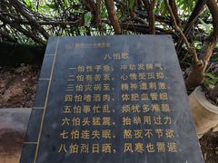 -观澜山水田园