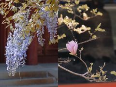 -大钟寺古钟博物馆