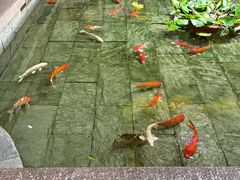 -惠食佳(滨江大公馆店)