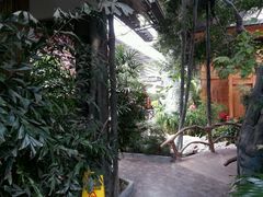 -江天生态园餐厅